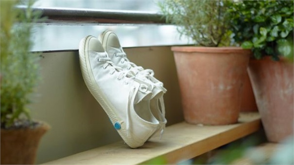 Kiln-Baked Canvas Sneakers