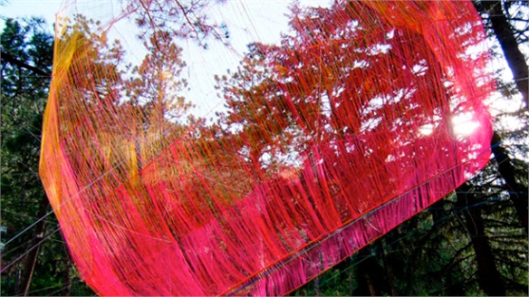 Sean McGinnis Spins Webs of Colour