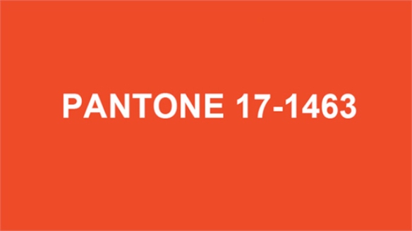 Pantone Announces Colour of the Year 2012