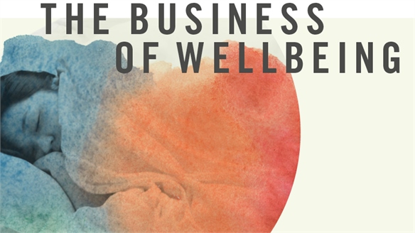 The Business of Wellbeing