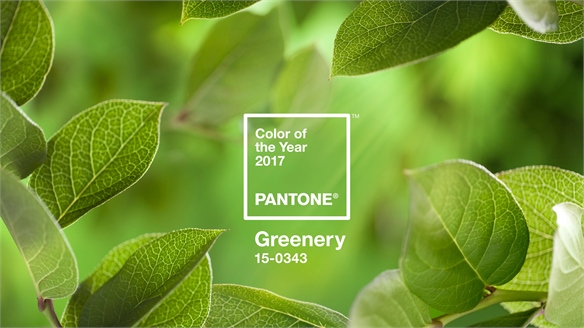 Pantone Colour of the Year 2017