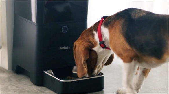 Puppy Love: Pet Tech for Valentine’s