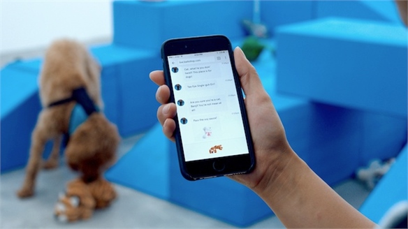 BarkShop Live: Tech-Smart Retail for Dogs