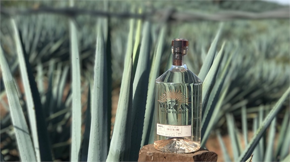 Moët Hennessy Becomes Tequila Producer