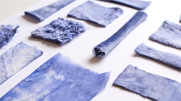 Living Colour: Dyeing with Bacteria