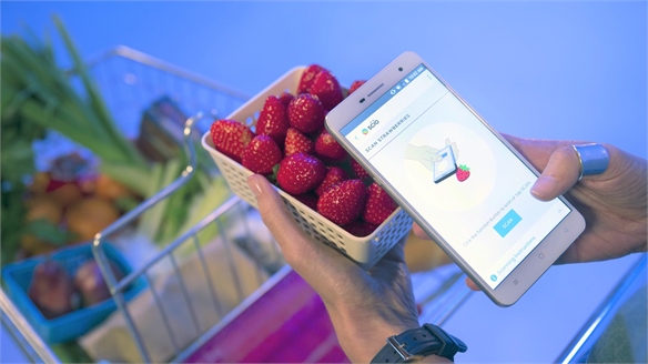 Food-Scanning Smartphone Uses Spectrometry