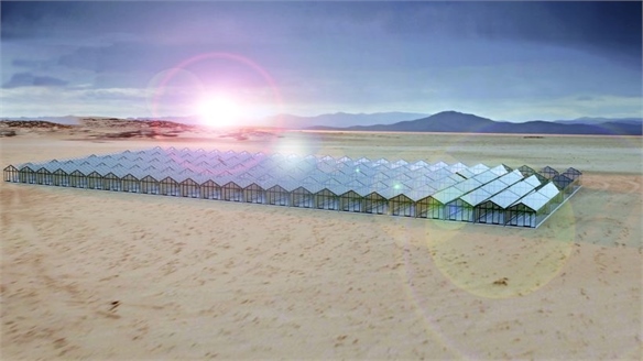 Self-Powered Solar Glass Greenhouse