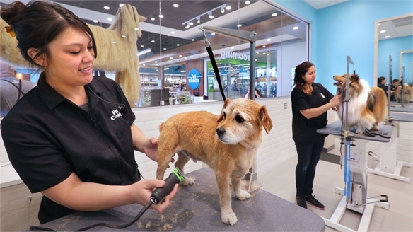 Petco Opens a Service-Led Wellbeing Store for Animals