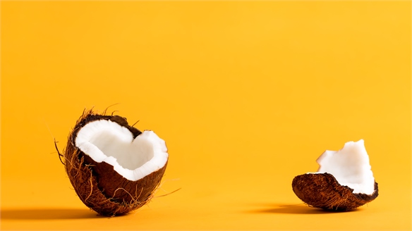 New Eco-Material Made from Coconut Waste