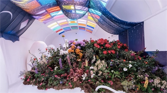 Horticulture Cool: Chelsea Flower Show Brand Concepts 