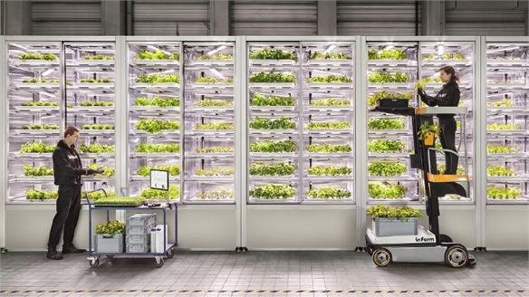 Could Agri-Tech Solve Global Food Supply Chain Problems?