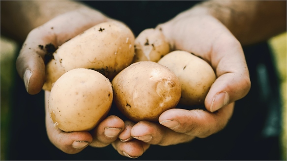 Walkers Uses Potato Peelings to Cut Carbon Emissions