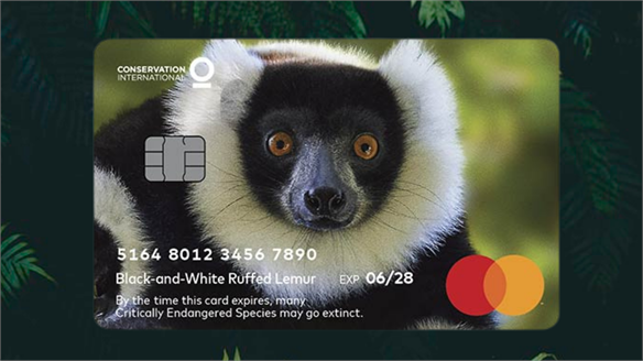 Mastercard Flags Wildlife Extinction Via Card Expiry Dates